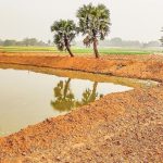 800420-1-20250918120046